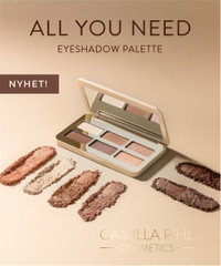 Eyeshadow 1